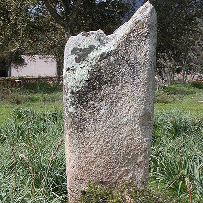 Photo de Deux menhirs du Rizzanèse