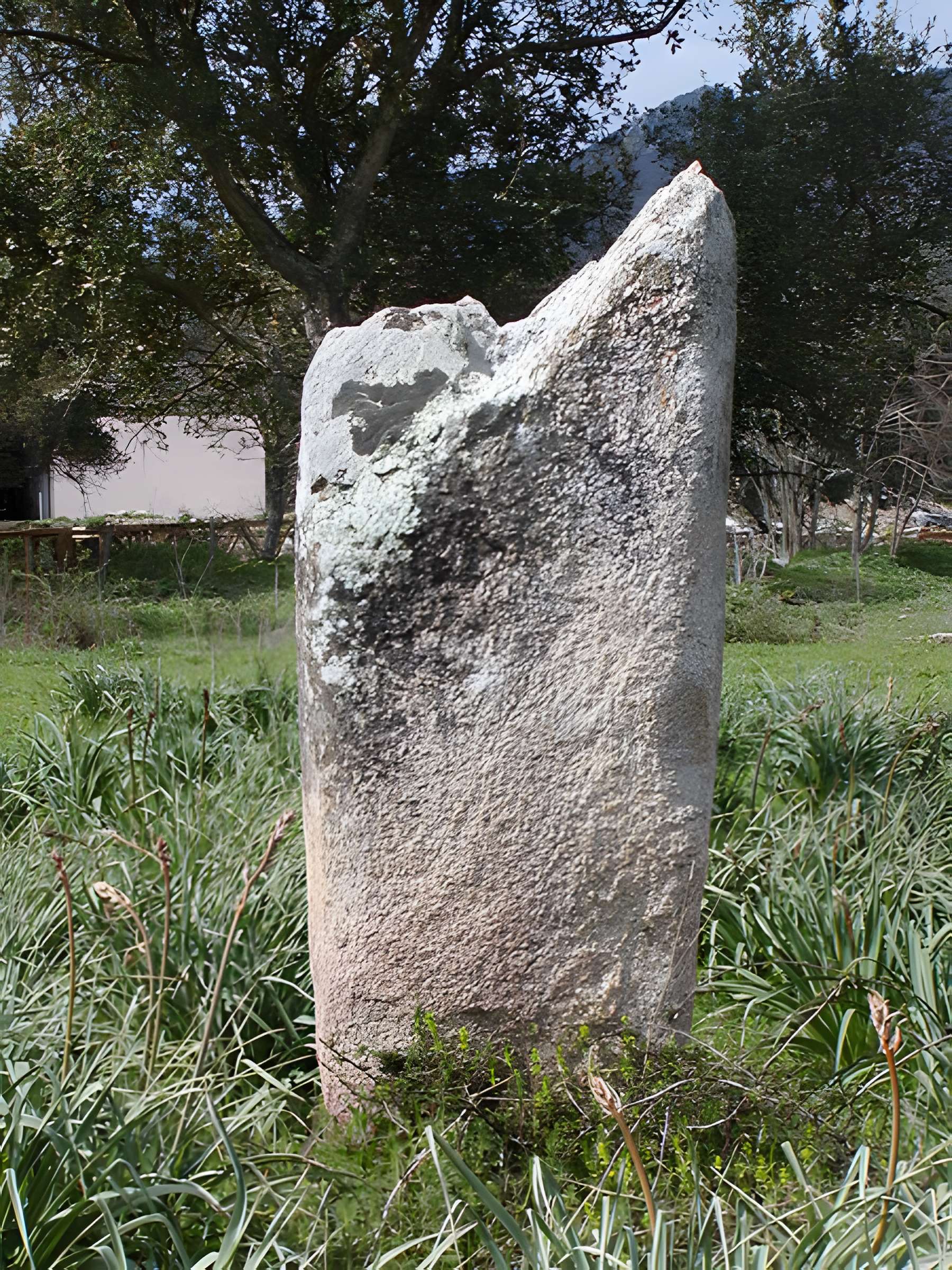 Deux menhirs du Rizzanèse