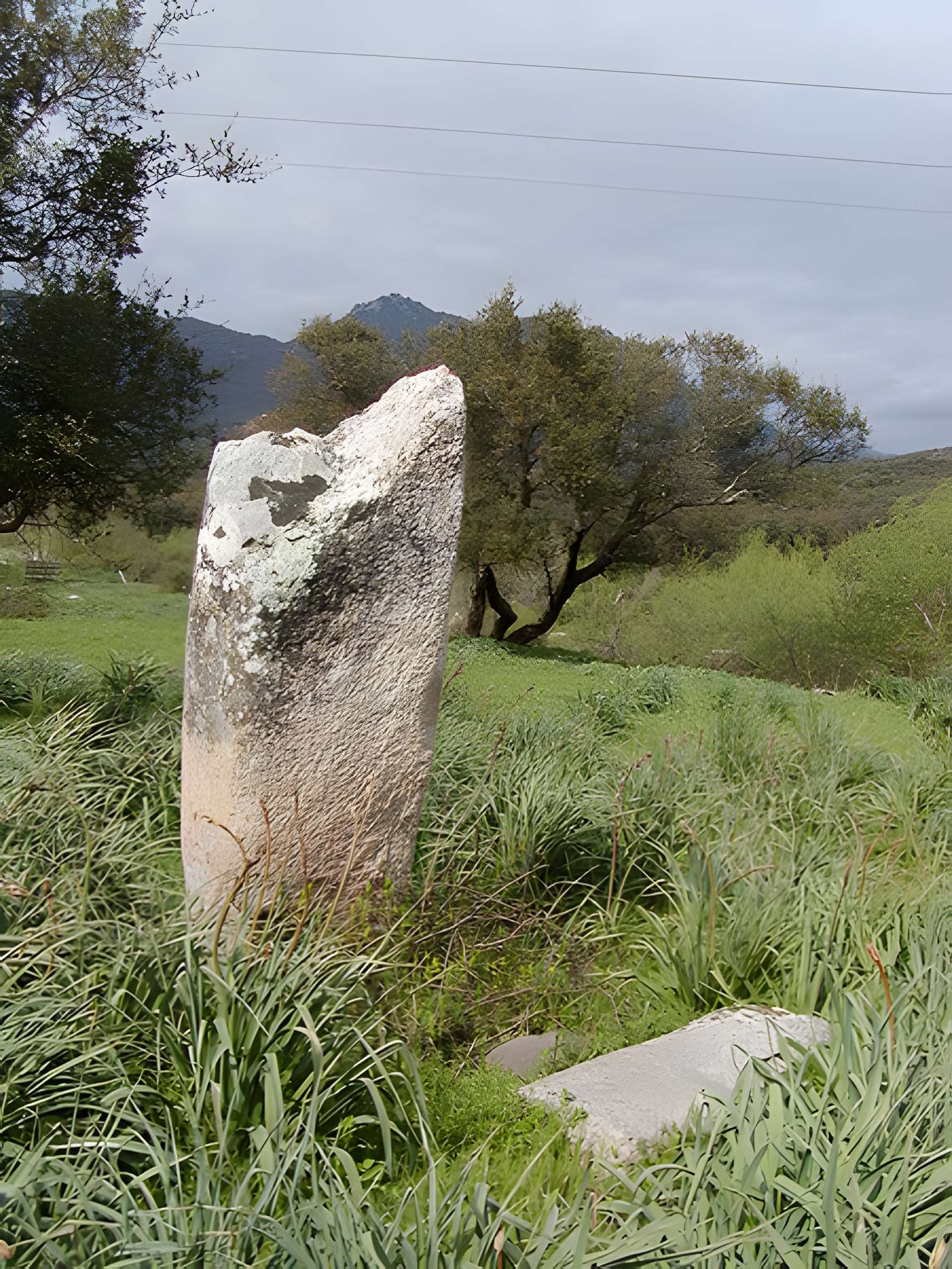 Deux menhirs du Rizzanèse