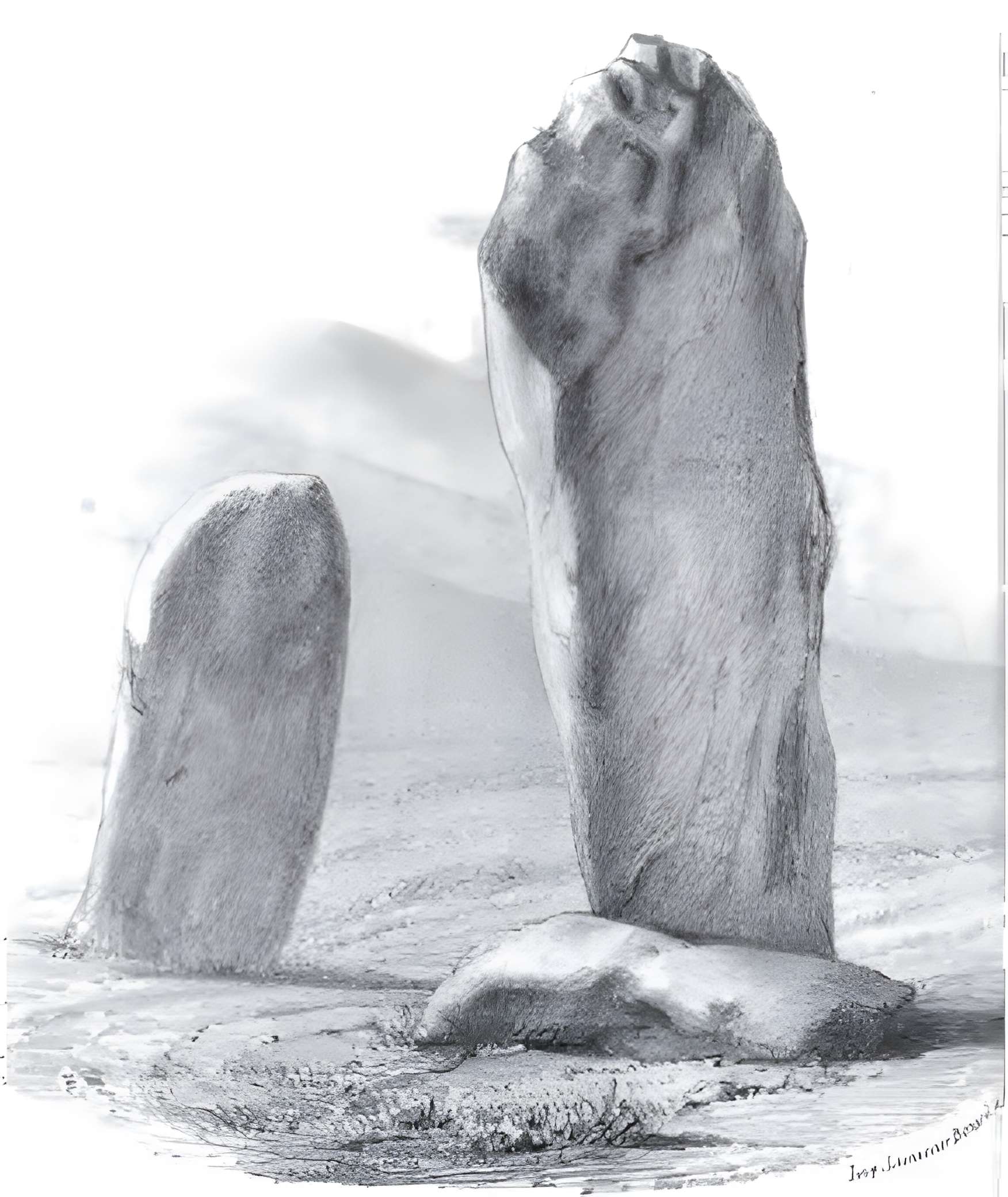 Deux menhirs du Rizzanèse