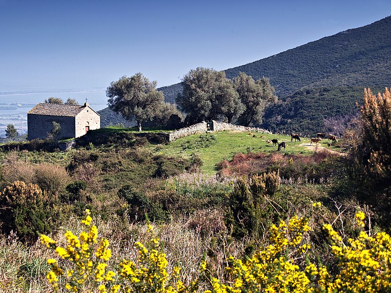 Photo de Chapelle Santa-Maria-Assunta