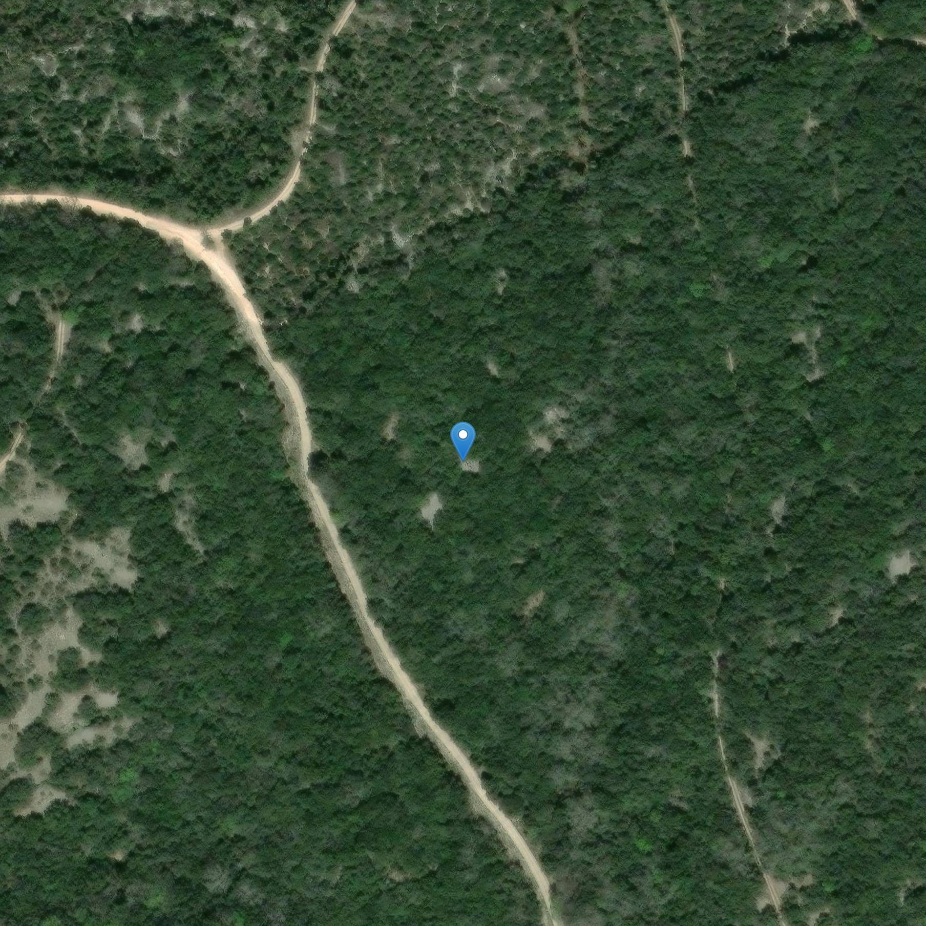 Photo de Dolmen dice Pié de Mounié