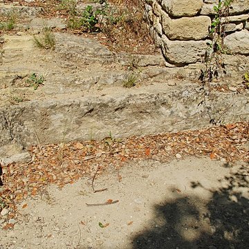 Chapelle Saint-Nazaire de Marissargues