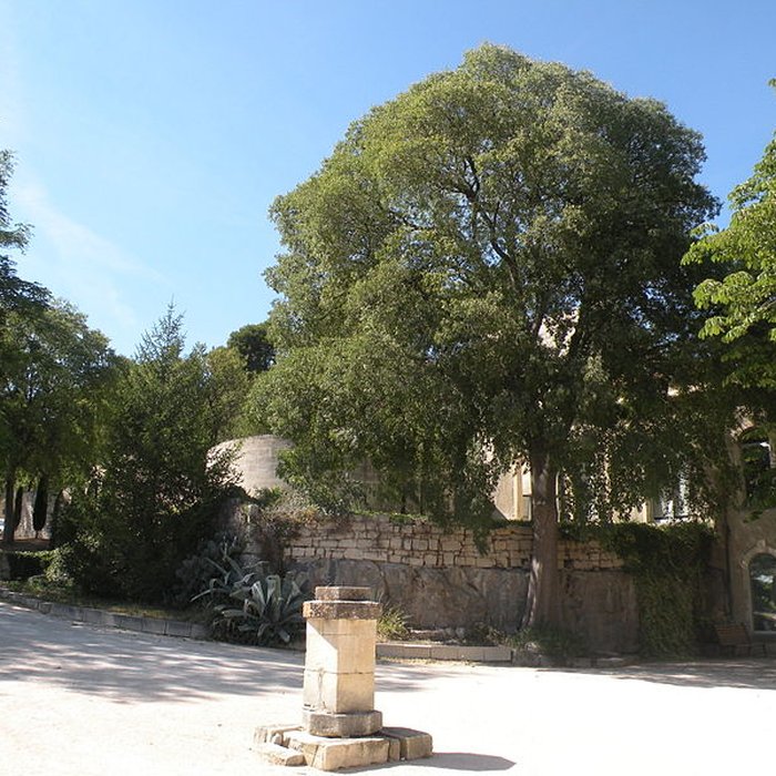 Photo de Château