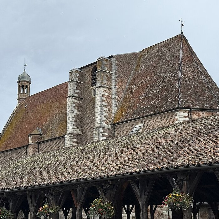 Photo de Église Saint-André-et-Saint-Vincent-de-Paul de Châtillon-sur-Chalaronne