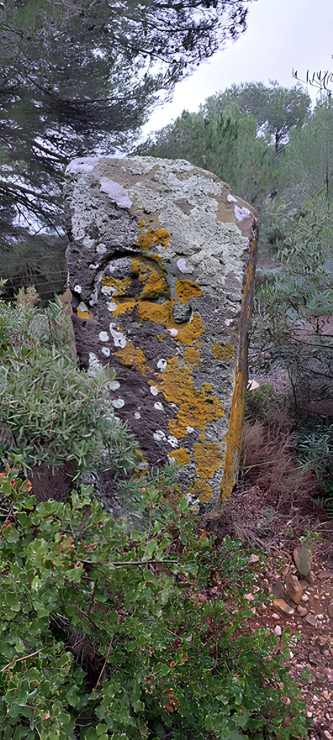 Via Domitia (également sur communes de Redessan et Jonquières-Saint-Vincent, dans le Gard, et Castelnau-le-Lez, dans l'Hérault)