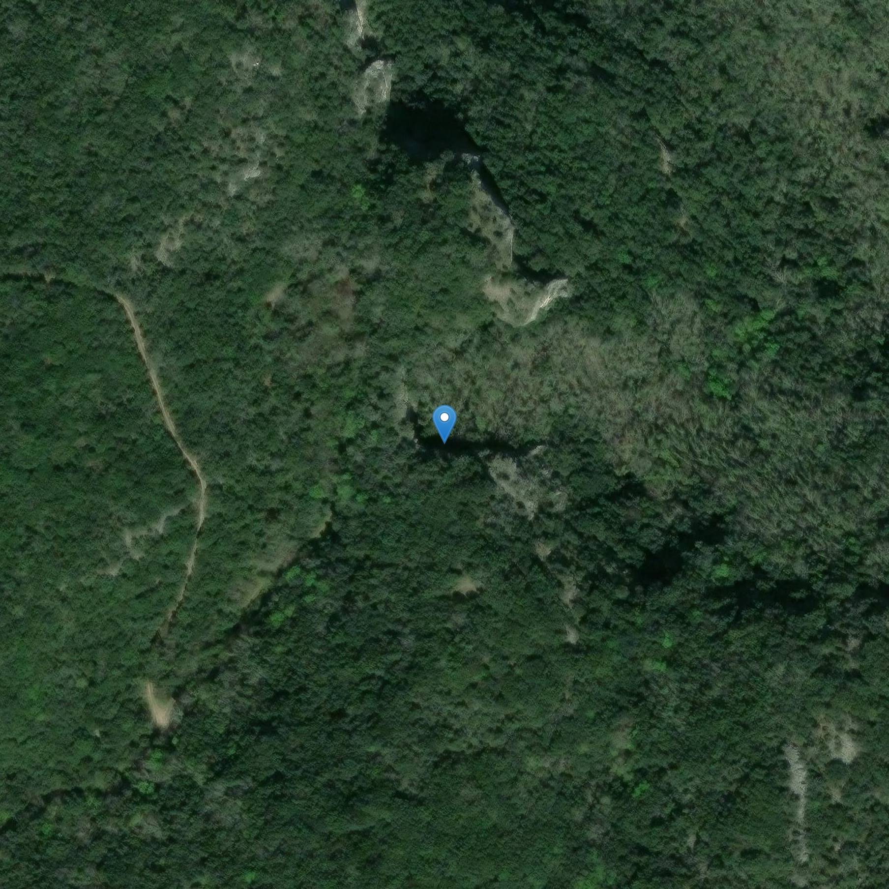 Photo de Cueva de grabado prehistórico de Oullins