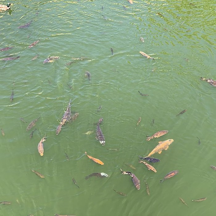 Photo de Jardin de la Fontaine