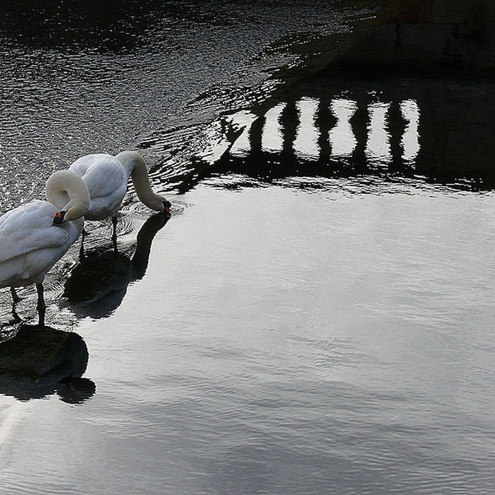 Photo de Jardin de la Fontaine