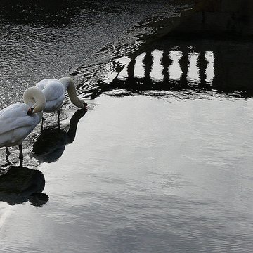 Jardin de la Fontaine