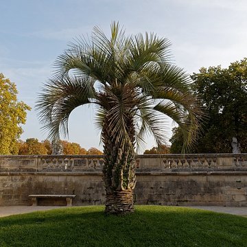 Jardin de la Fontaine