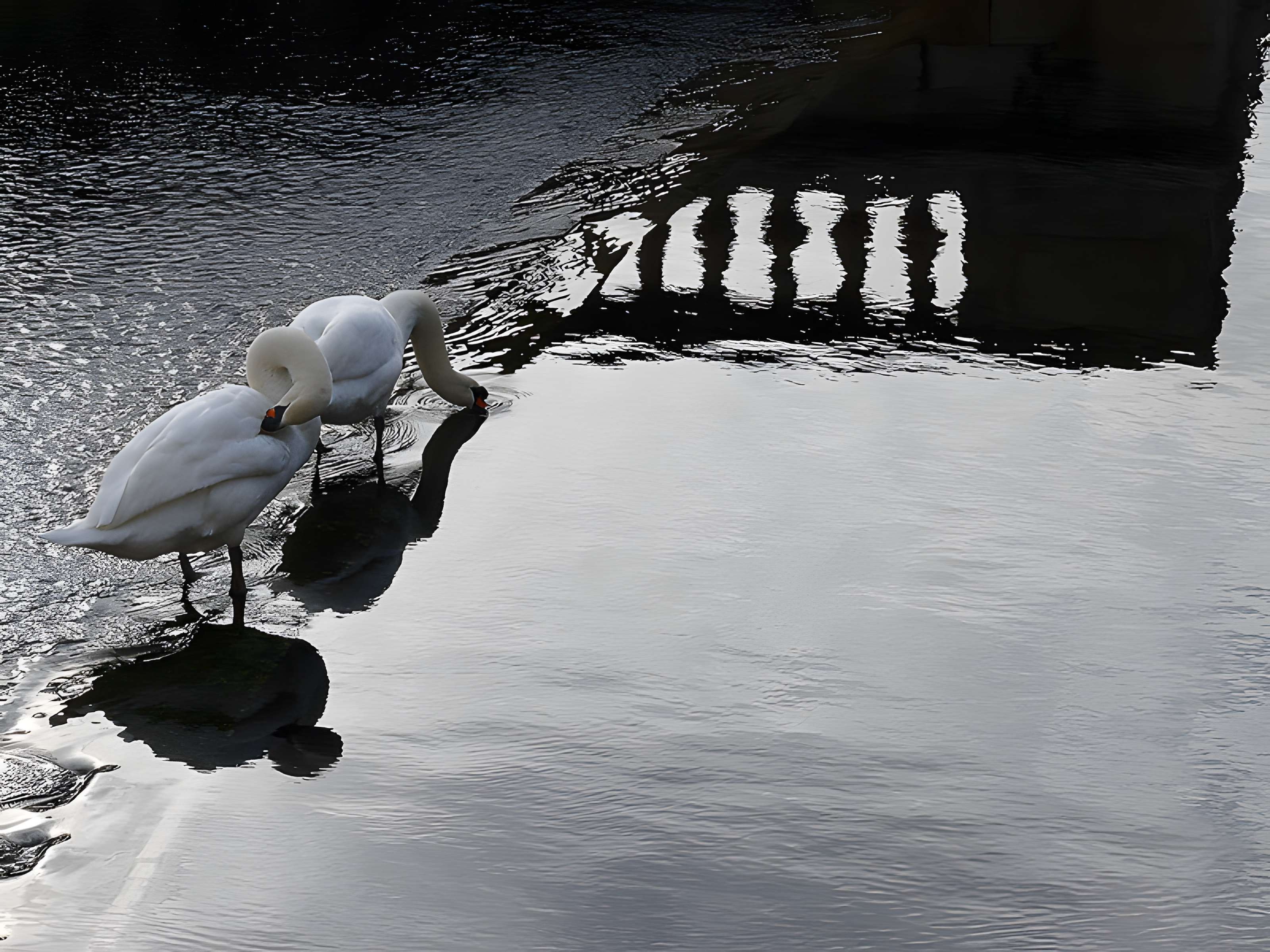 Jardin de la Fontaine