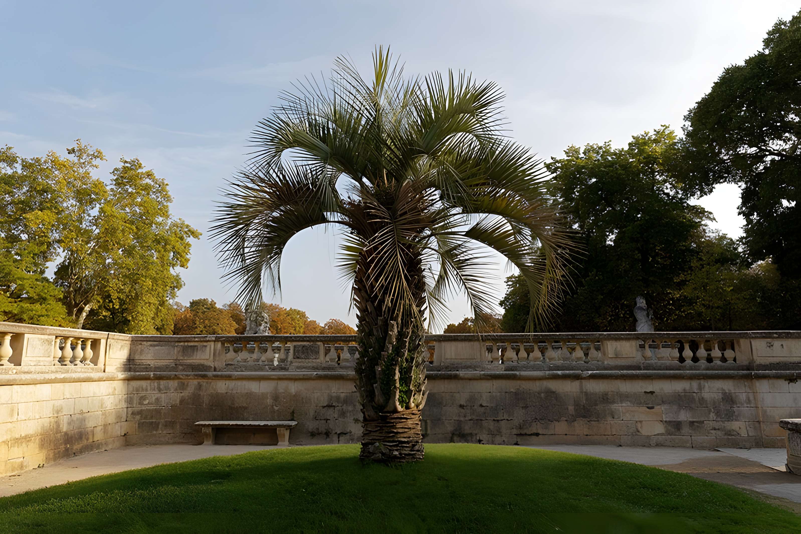 Jardin de la Fontaine