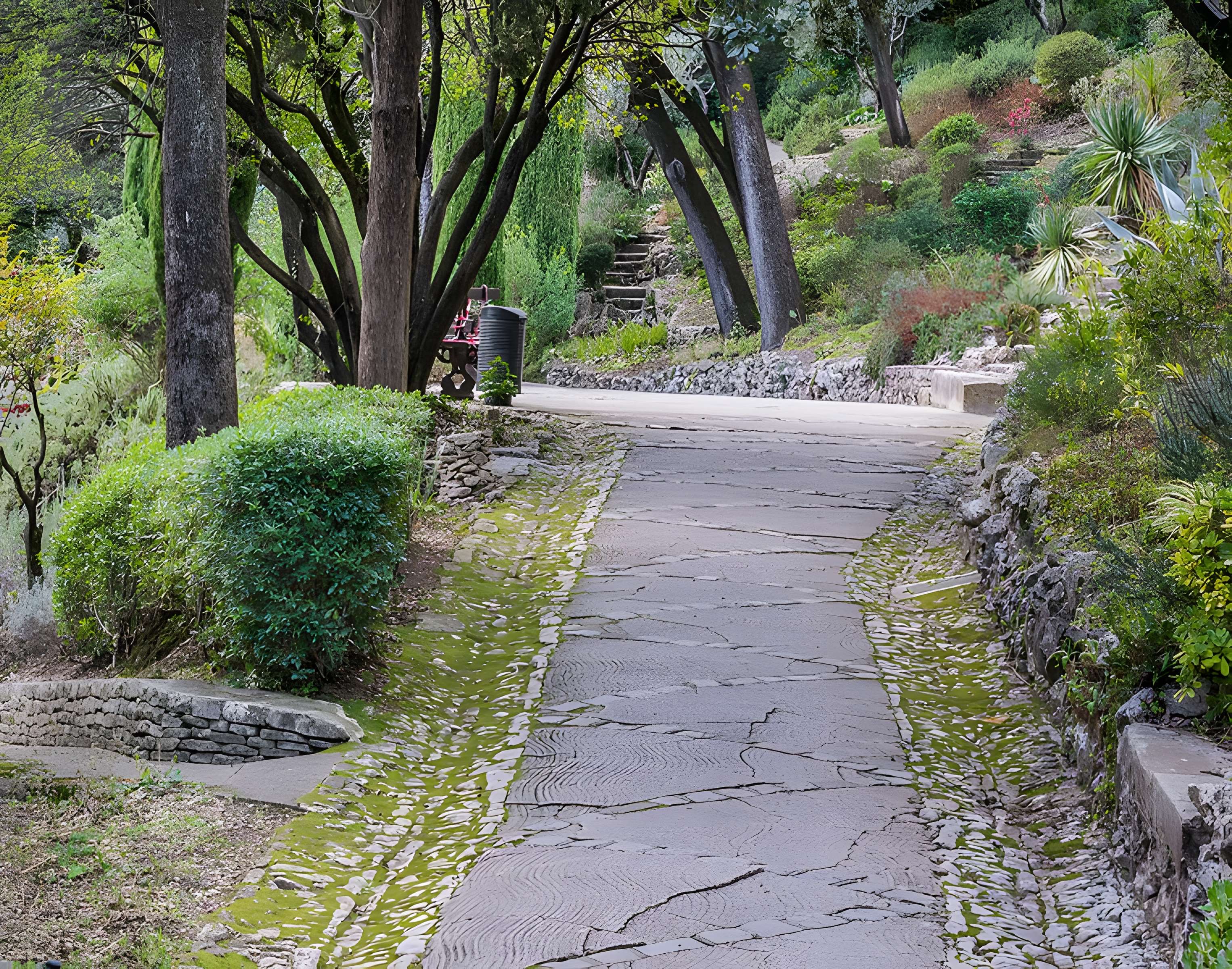 Jardin de la Fontaine