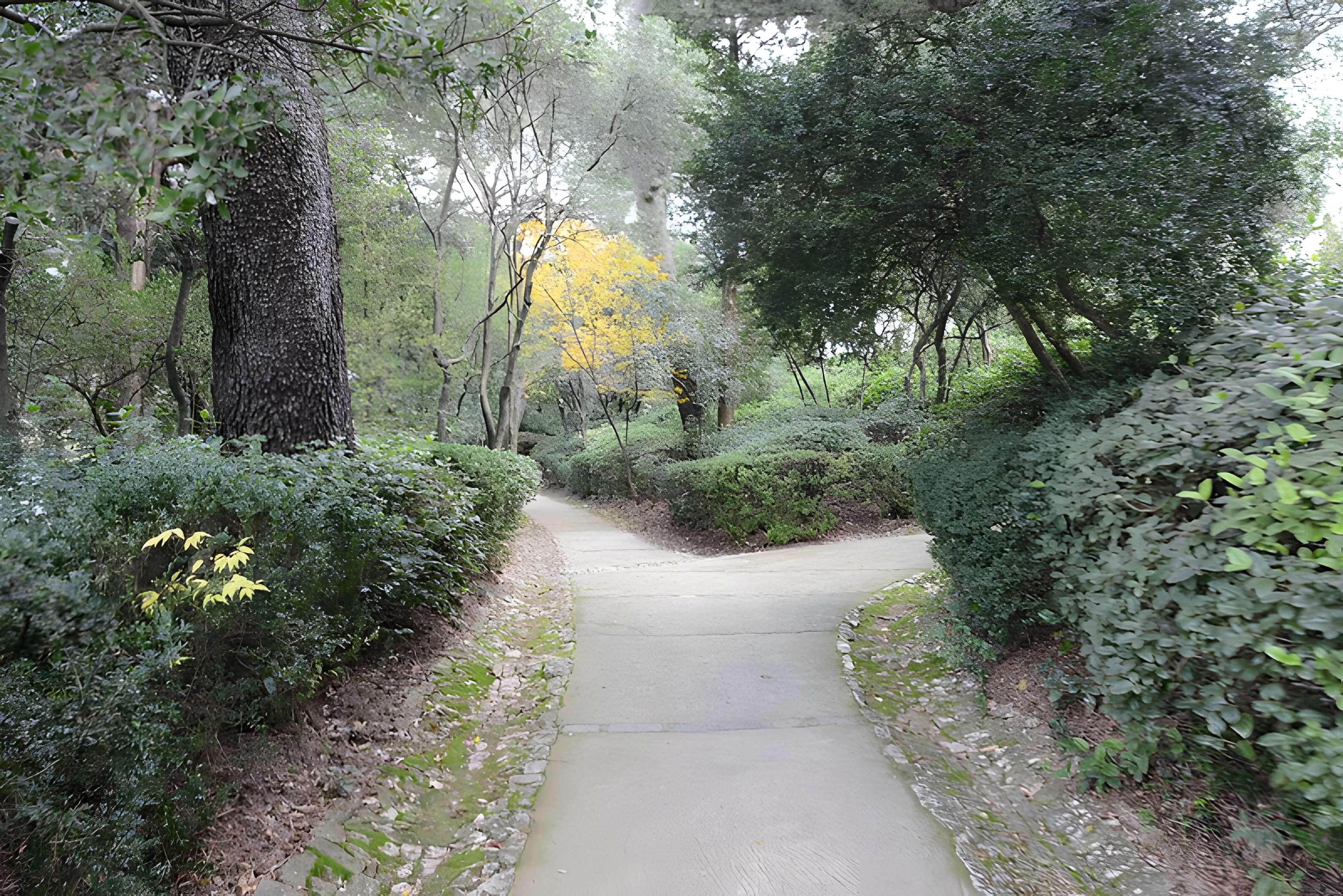 Jardin de la Fontaine