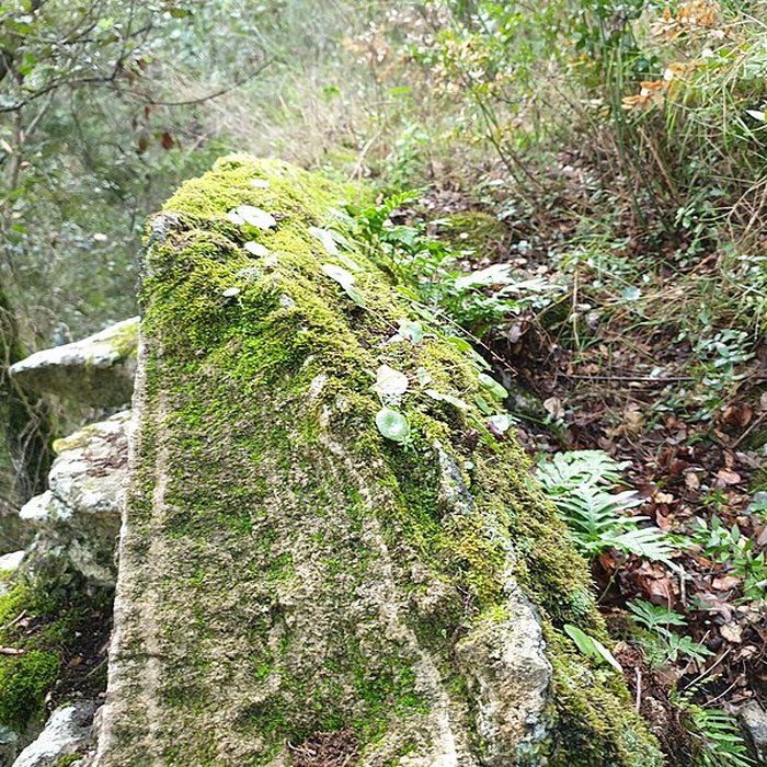 Photo de Aqueduc de Nîmes