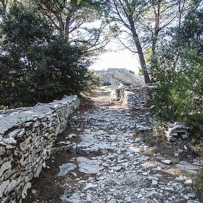 Photo de Oppidum de Roque de Viou également sur commune de Nages-et-Solorgues
