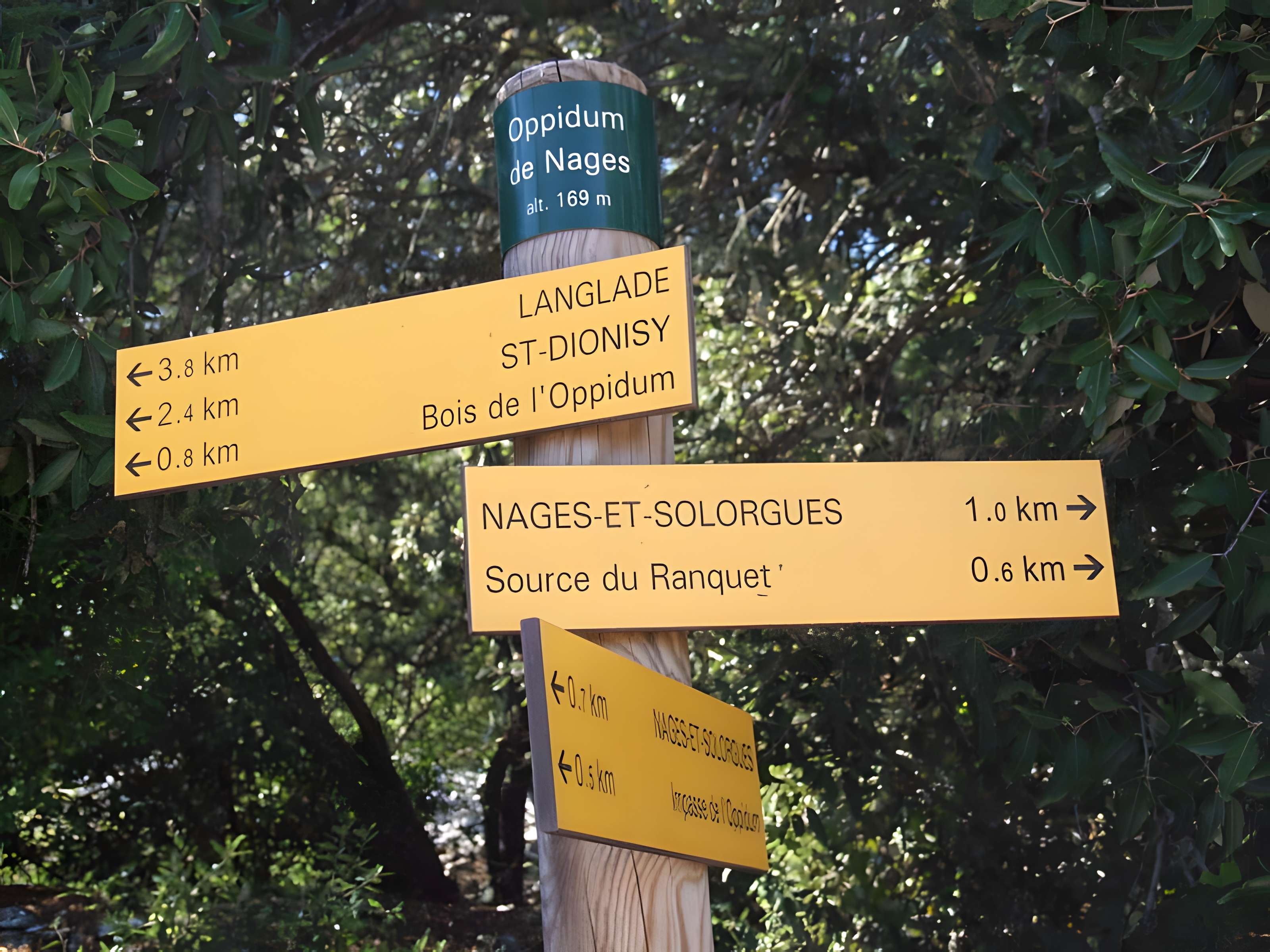 Oppidum de Roque de Viou (également sur commune de Nages-et-Solorgues)