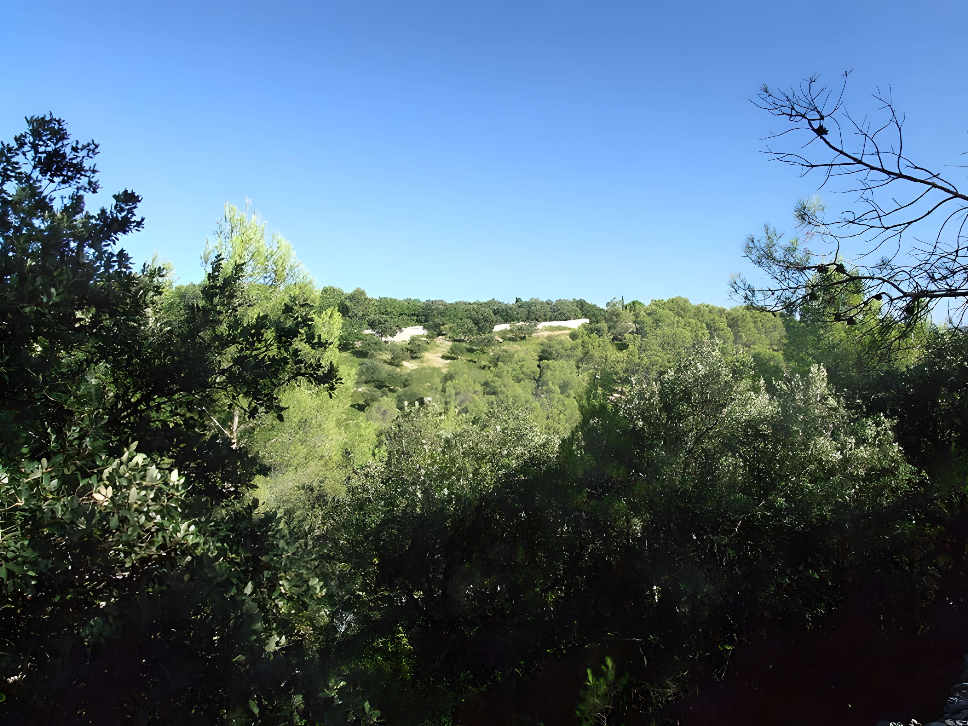 Oppidum de Roque de Viou (également sur commune de Nages-et-Solorgues)