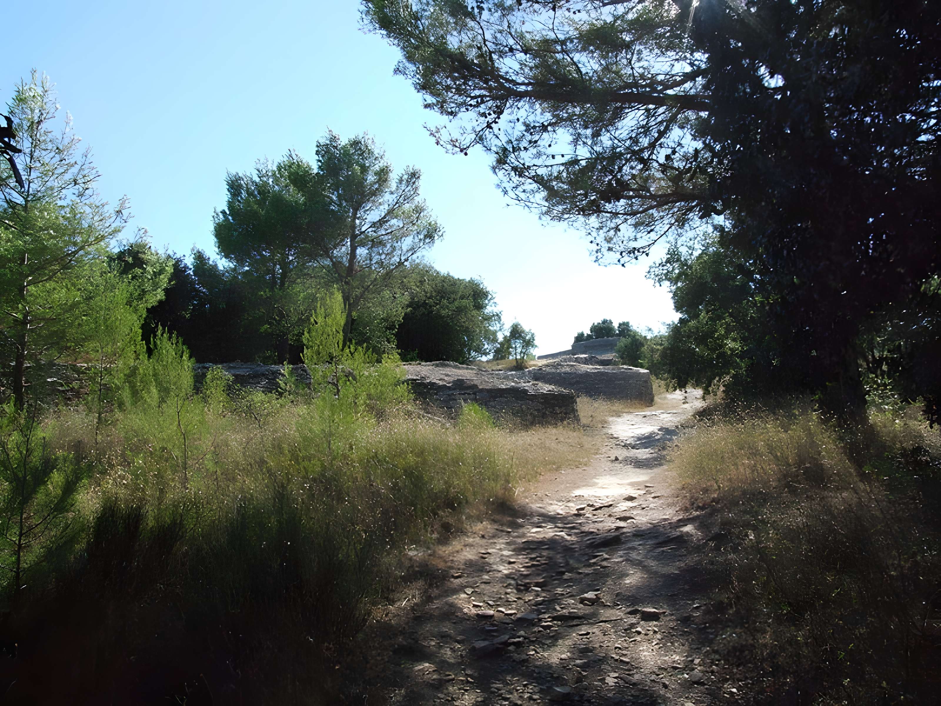 Oppidum de Roque de Viou (également sur commune de Nages-et-Solorgues)