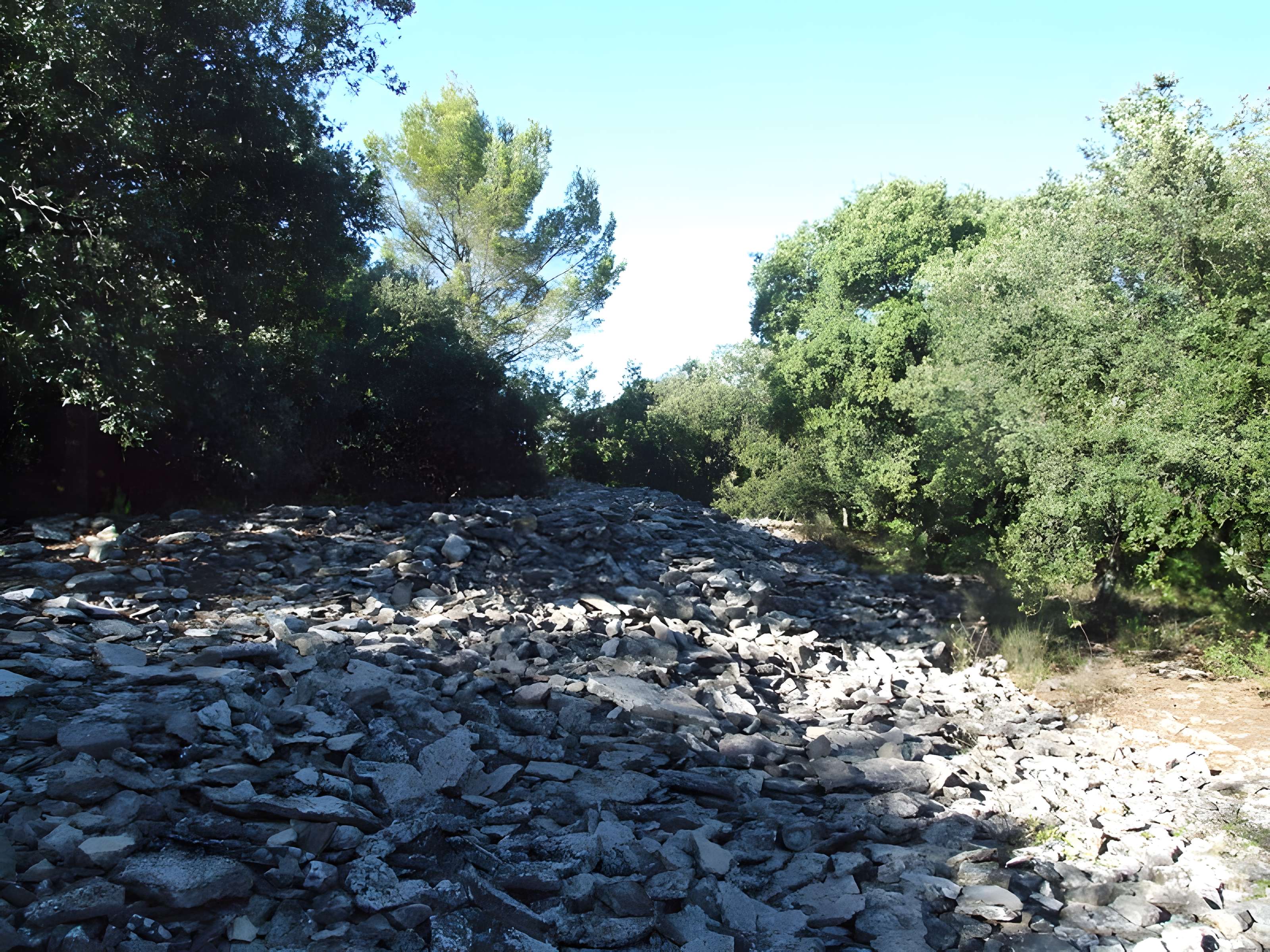 Oppidum de Roque de Viou (également sur commune de Nages-et-Solorgues)