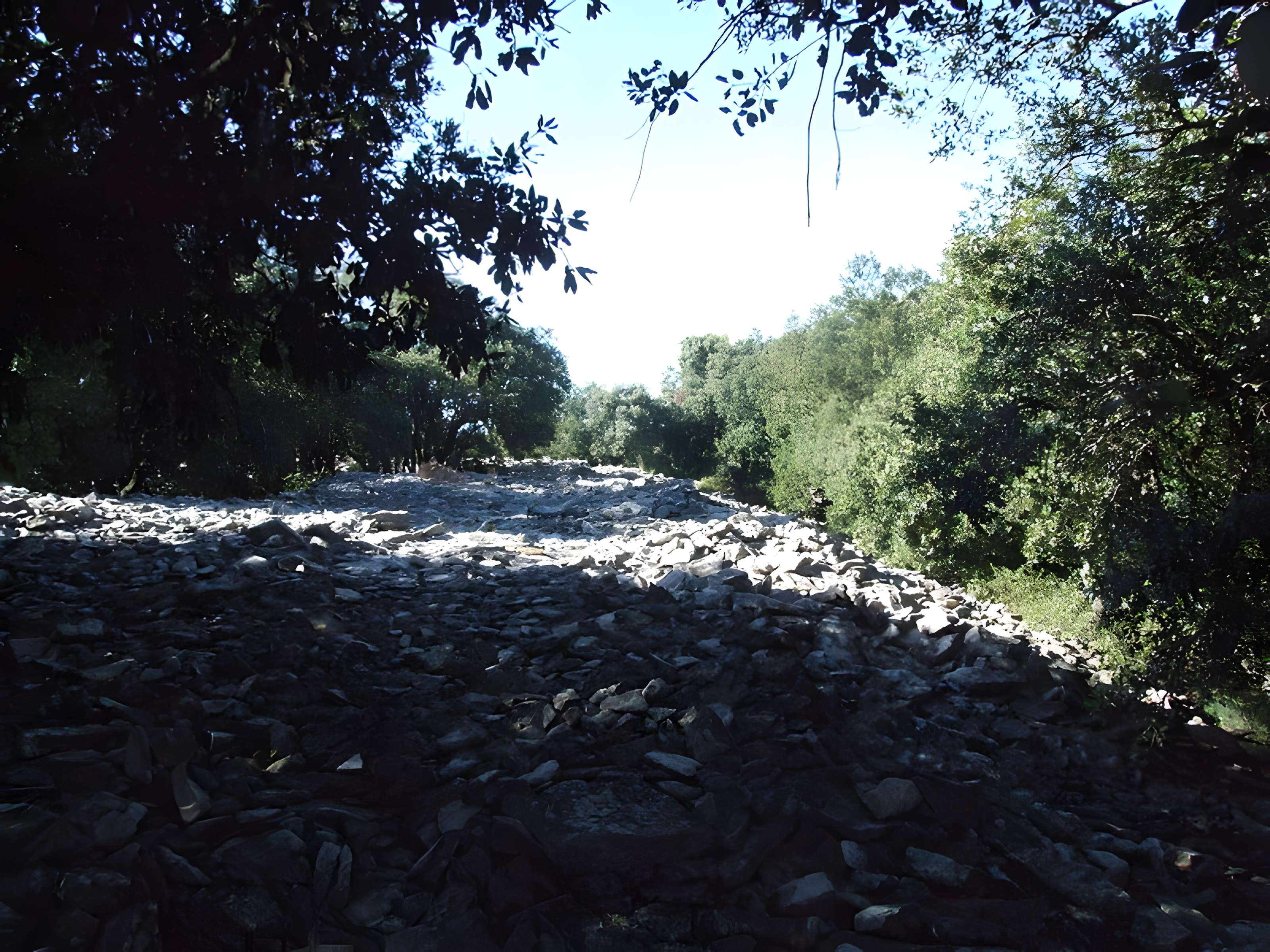 Oppidum de Roque de Viou (également sur commune de Nages-et-Solorgues)