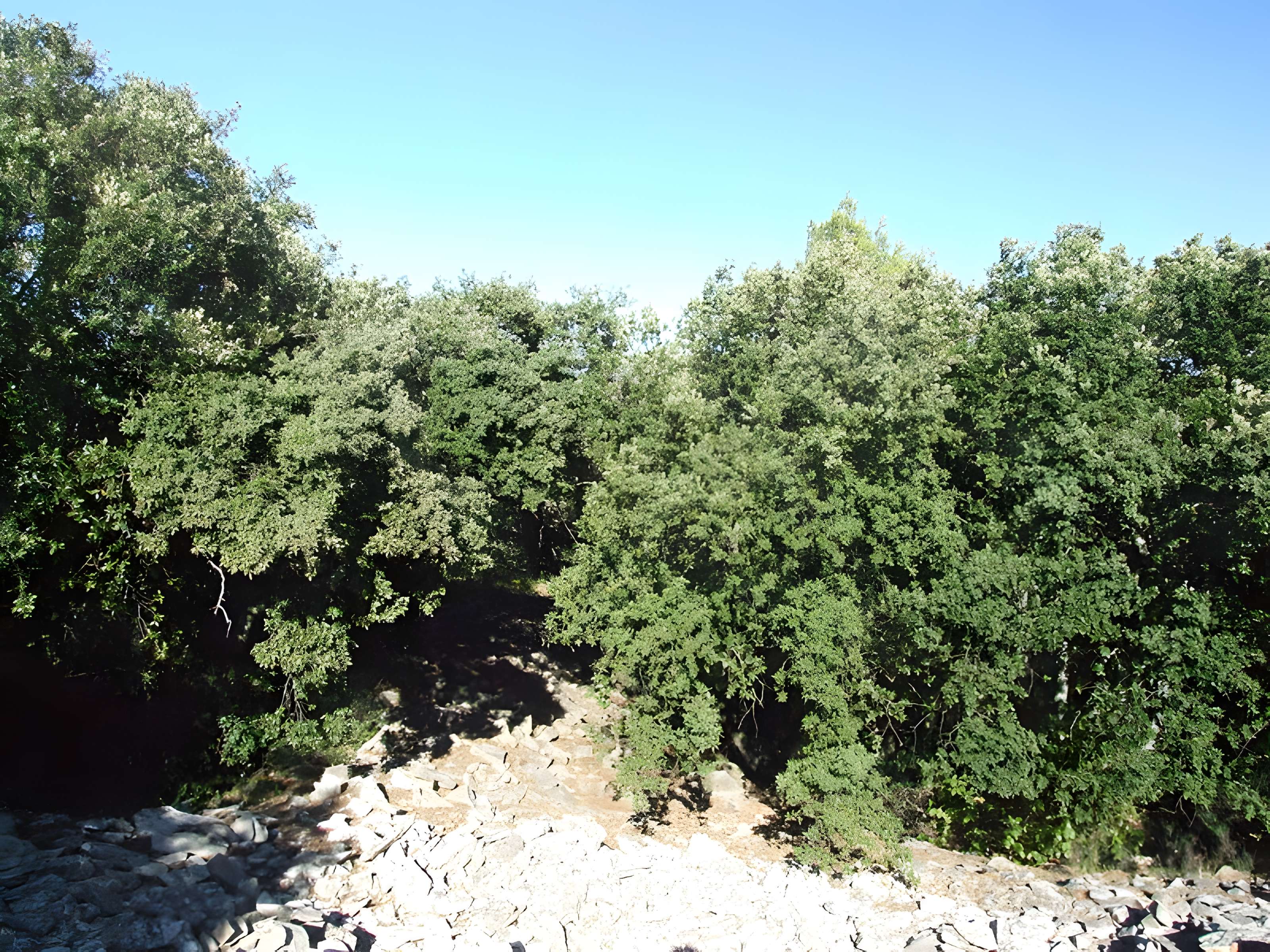 Oppidum de Roque de Viou (également sur commune de Nages-et-Solorgues)