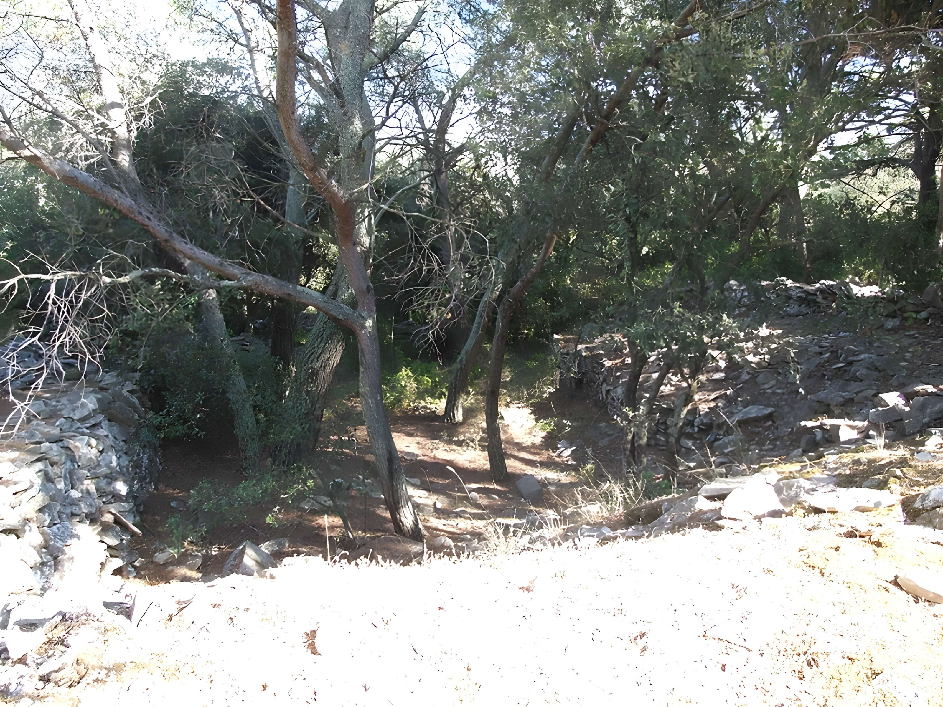 Oppidum de Roque de Viou (également sur commune de Nages-et-Solorgues)