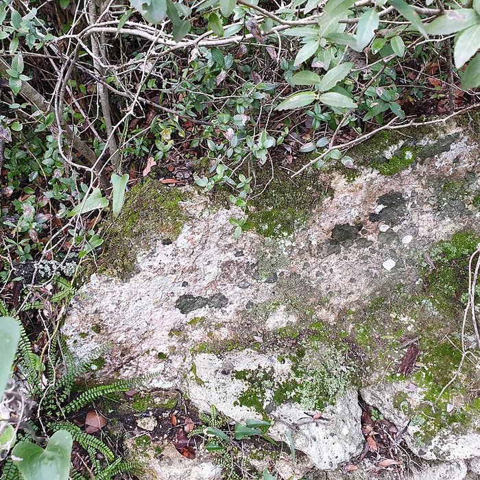 Photo de Aqueduc de Nîmes