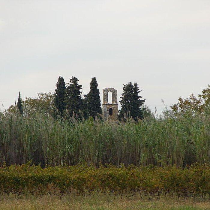 Photo de Ruines de la chapelle Saint-Martin
