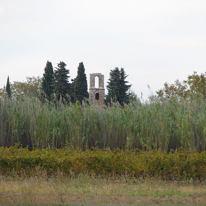 Photo de Ruines de la chapelle Saint-Martin