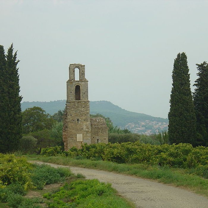 Photo de Ruines de la chapelle Saint-Martin