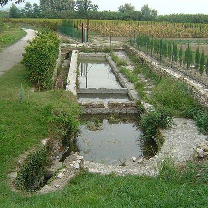 Photo de Ruines de la chapelle Saint-Martin