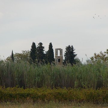Ruines de la chapelle Saint-Martin