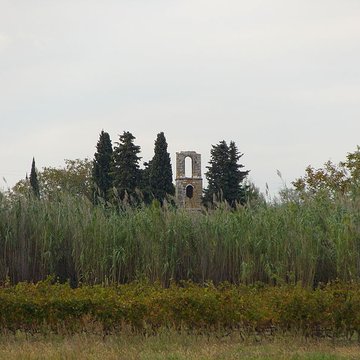 Ruines de la chapelle Saint-Martin