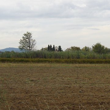 Ruines de la chapelle Saint-Martin