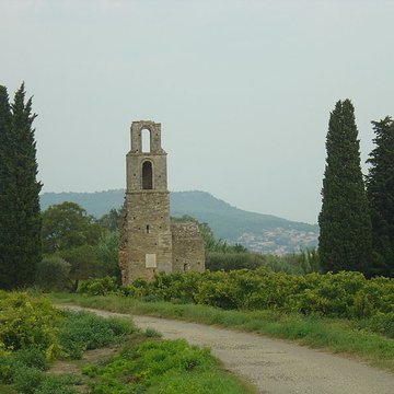 Ruines de la chapelle Saint-Martin