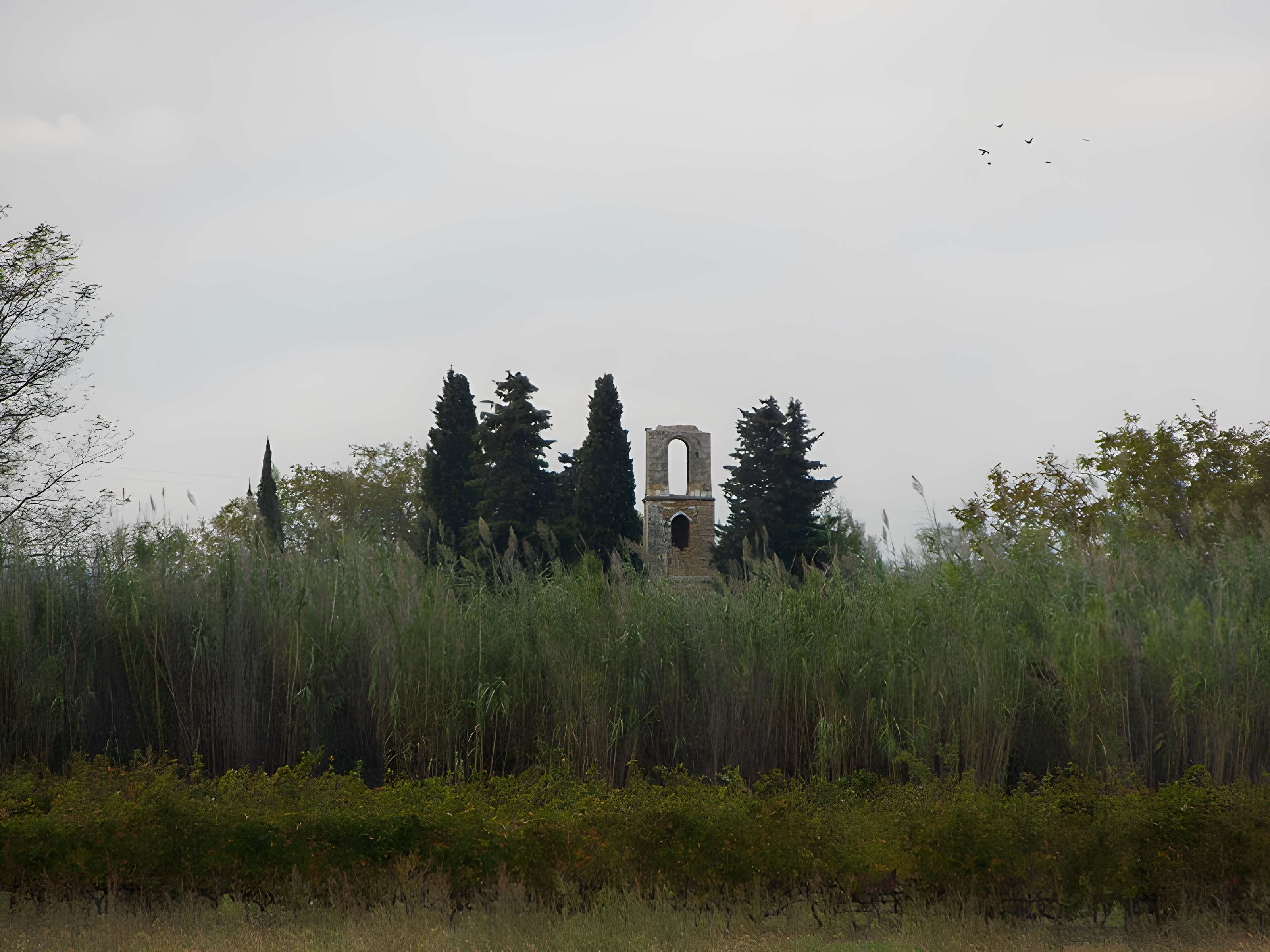 Ruines de la chapelle Saint-Martin