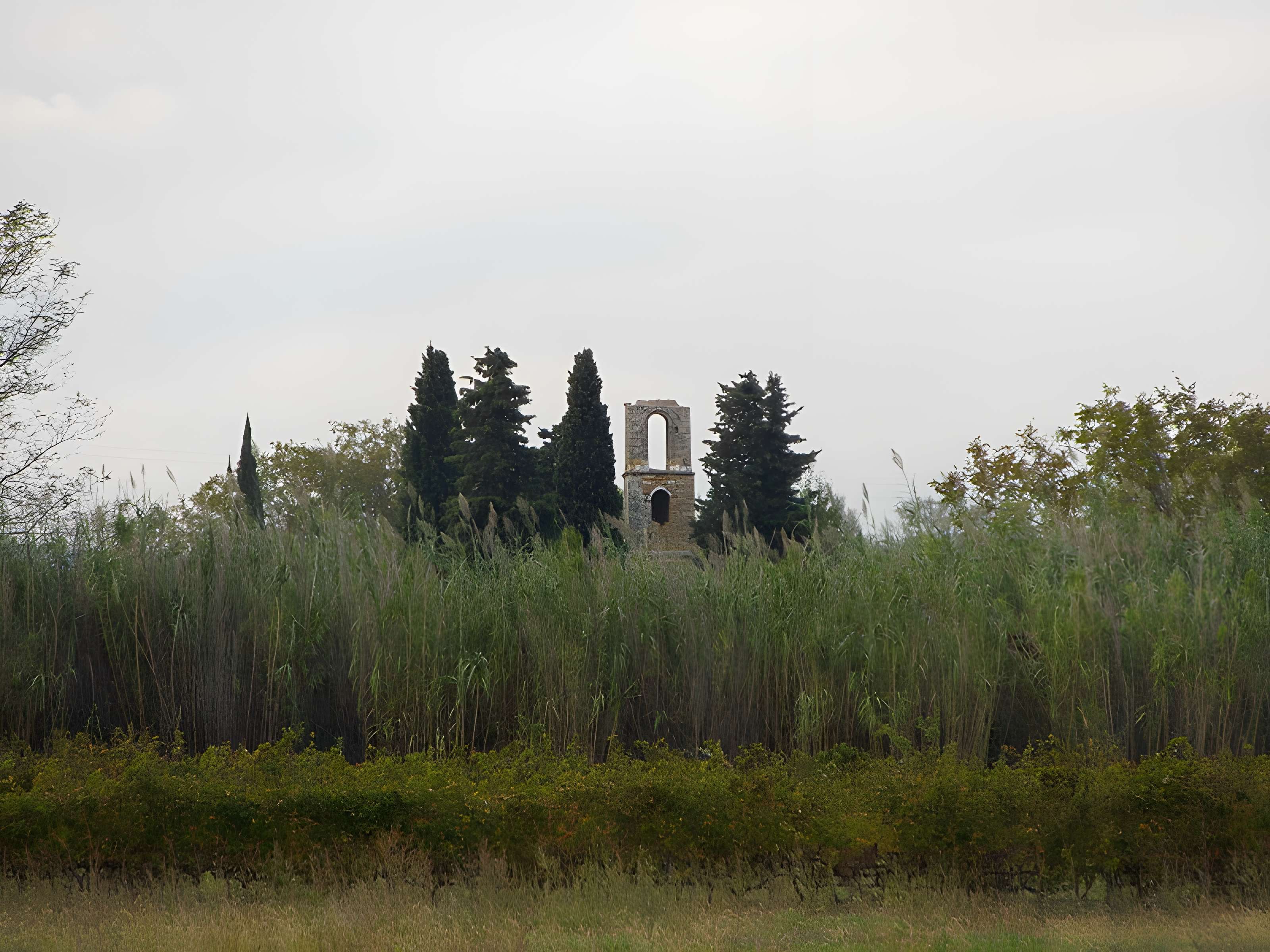 Ruines de la chapelle Saint-Martin