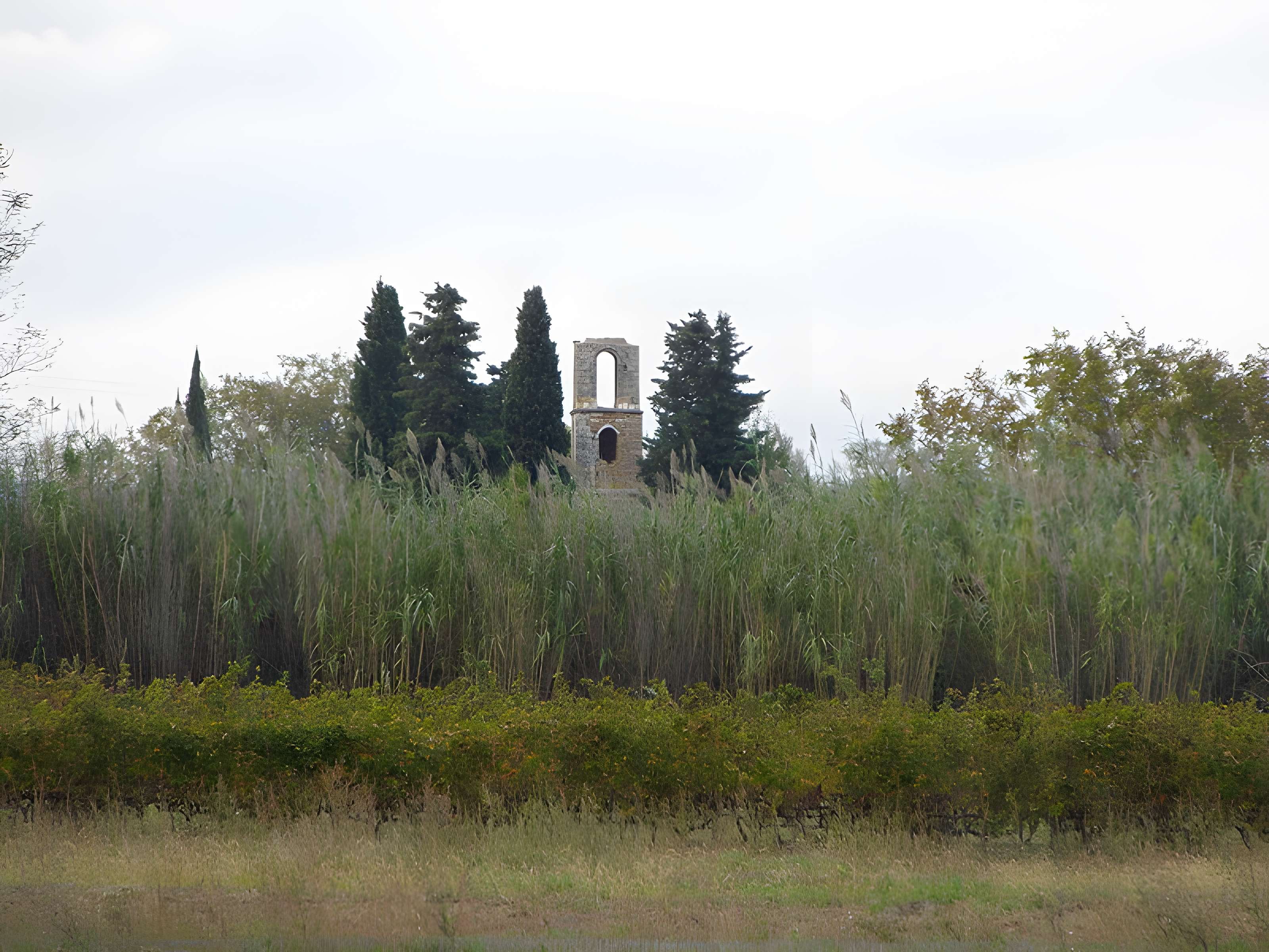 Ruines de la chapelle Saint-Martin