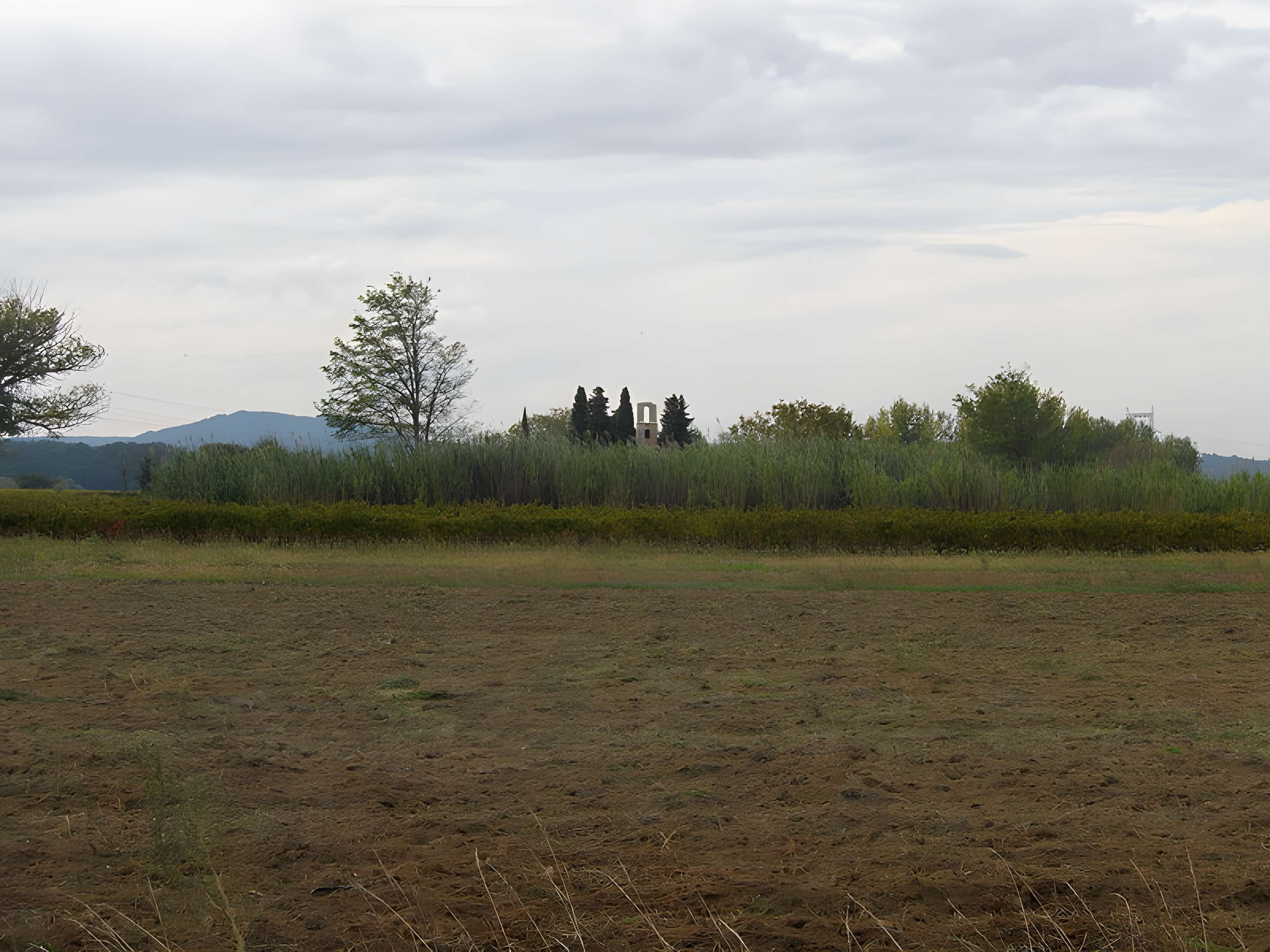 Ruines de la chapelle Saint-Martin