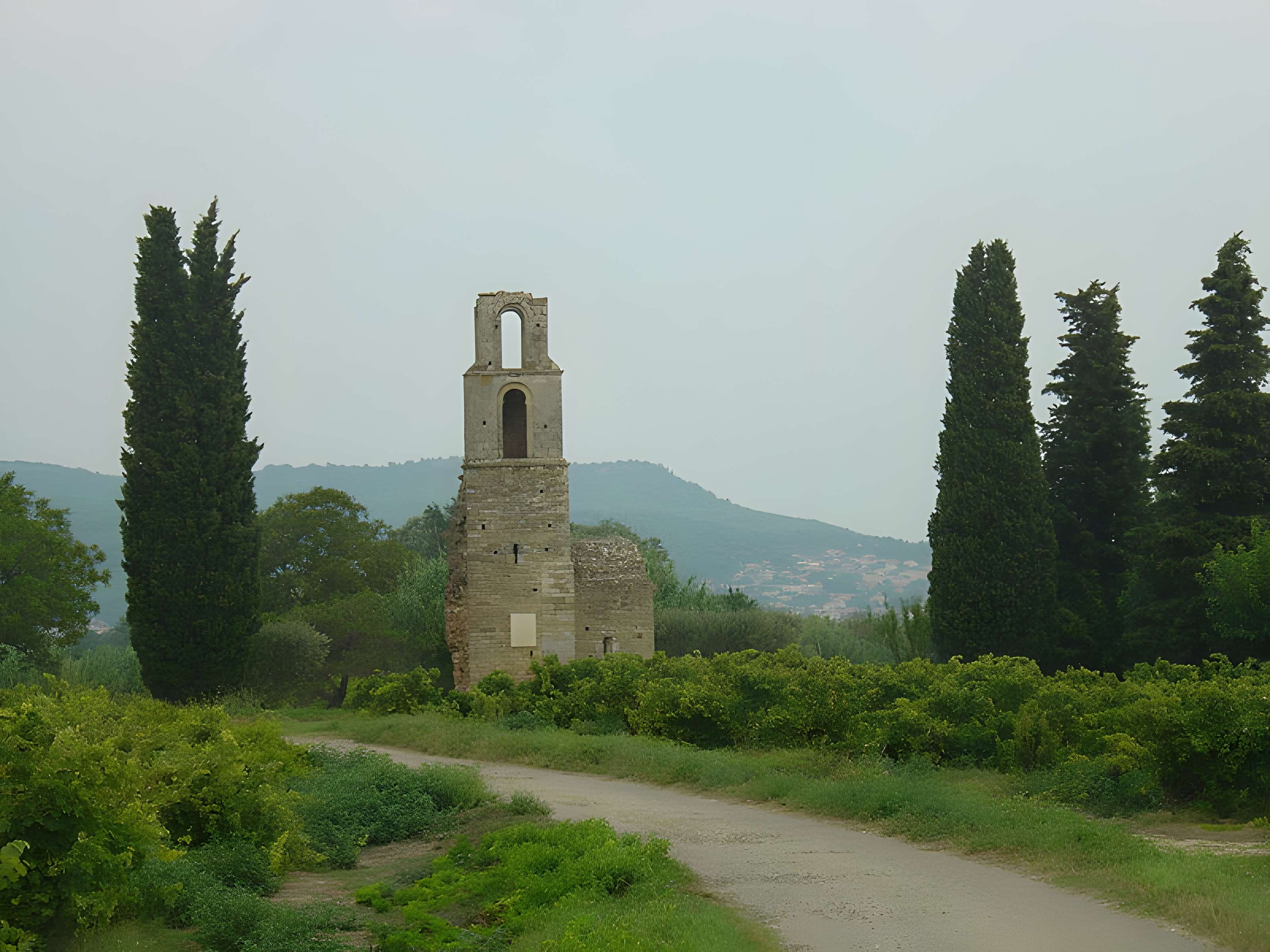 Ruines de la chapelle Saint-Martin