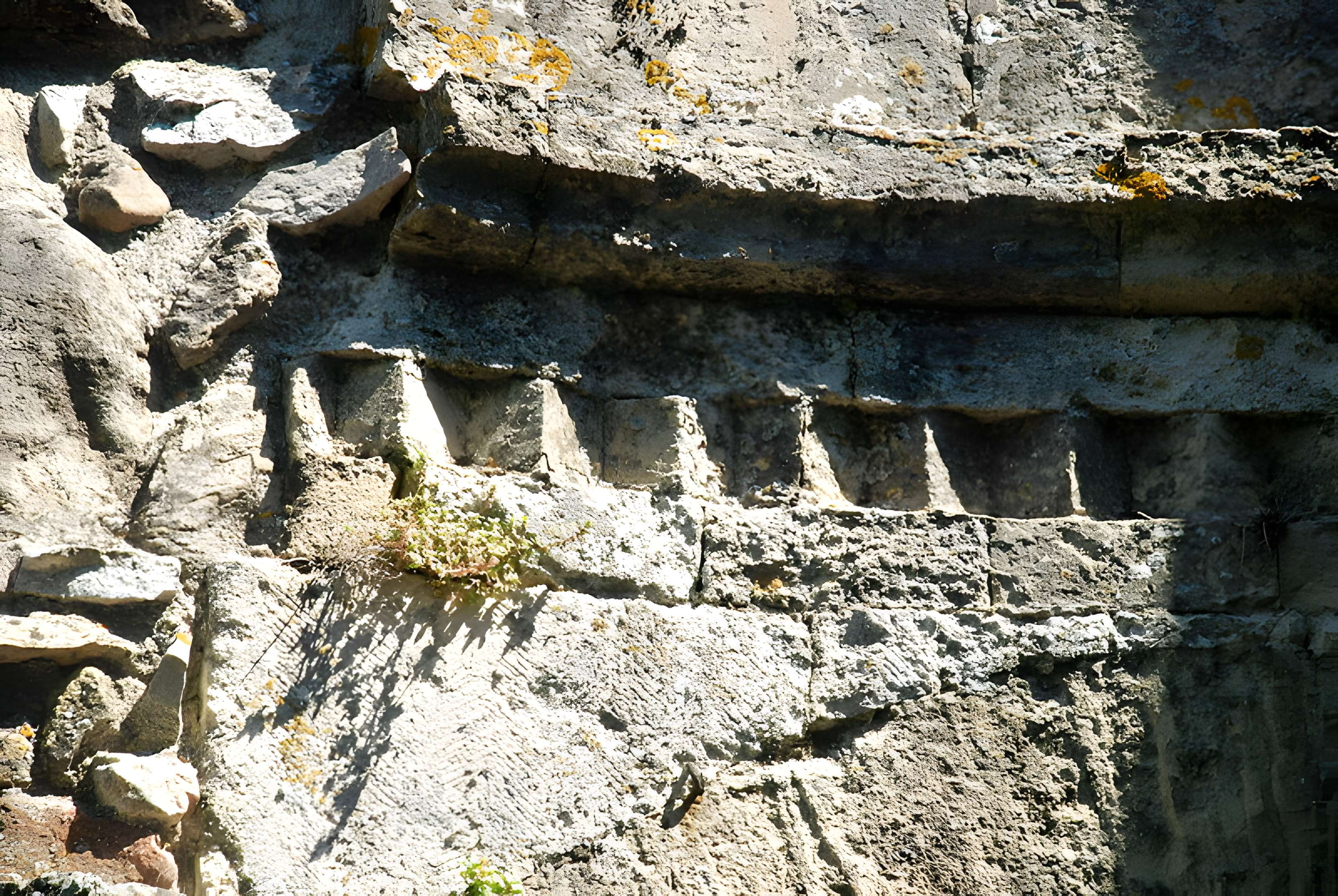 Ruines de la chapelle Saint-Martin