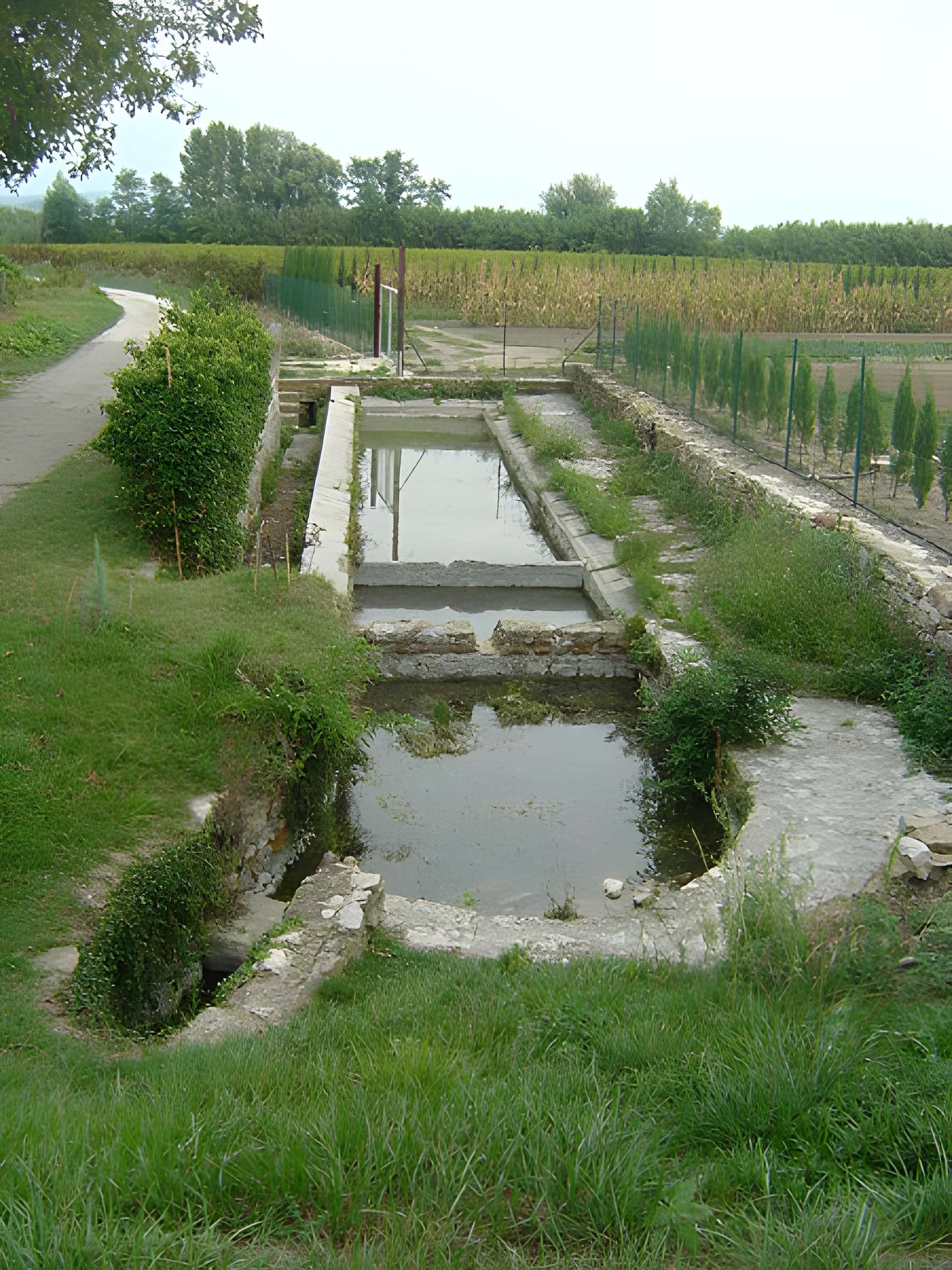 Ruines de la chapelle Saint-Martin