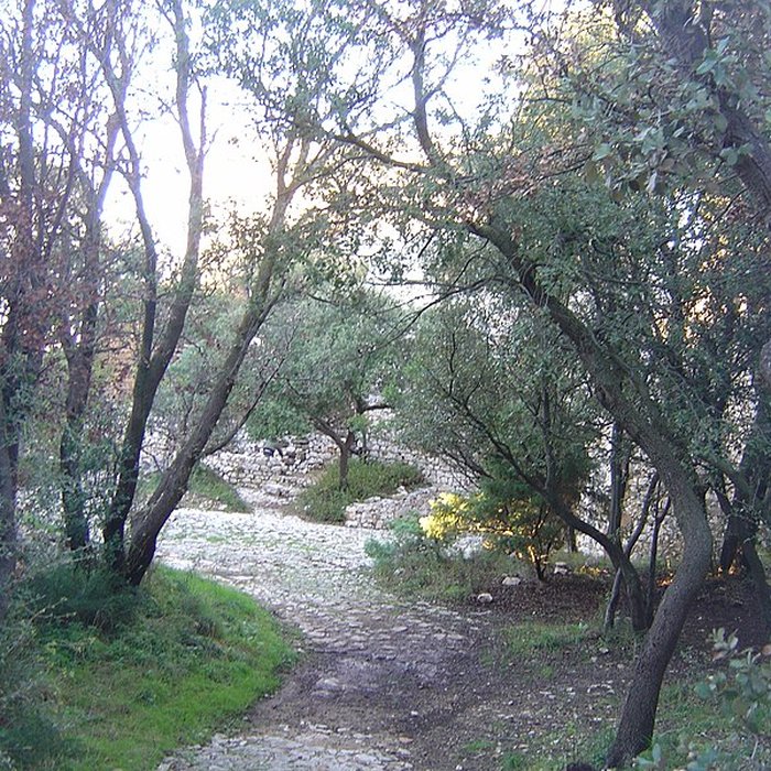 Photo de Ruines du Castellas