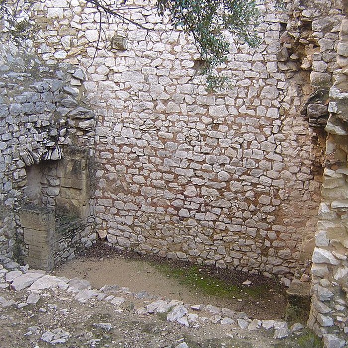 Photo de Ruines du Castellas