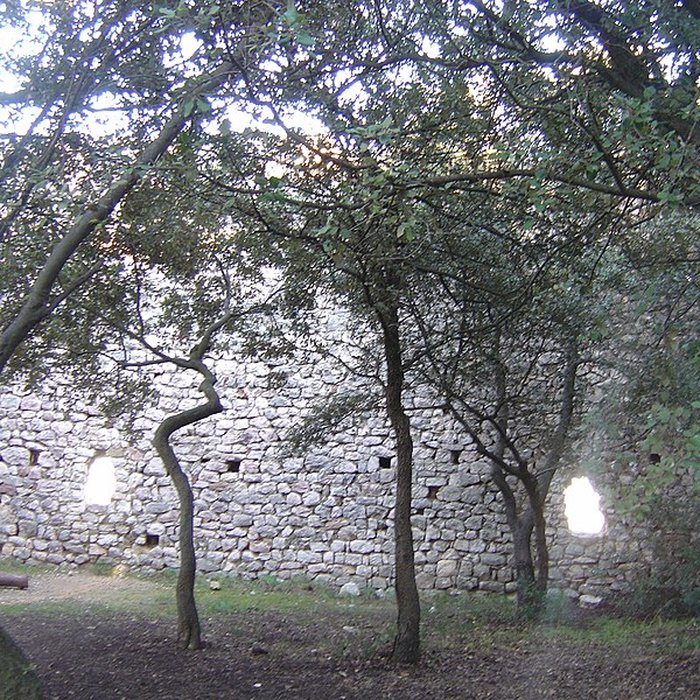 Photo de Ruines du Castellas