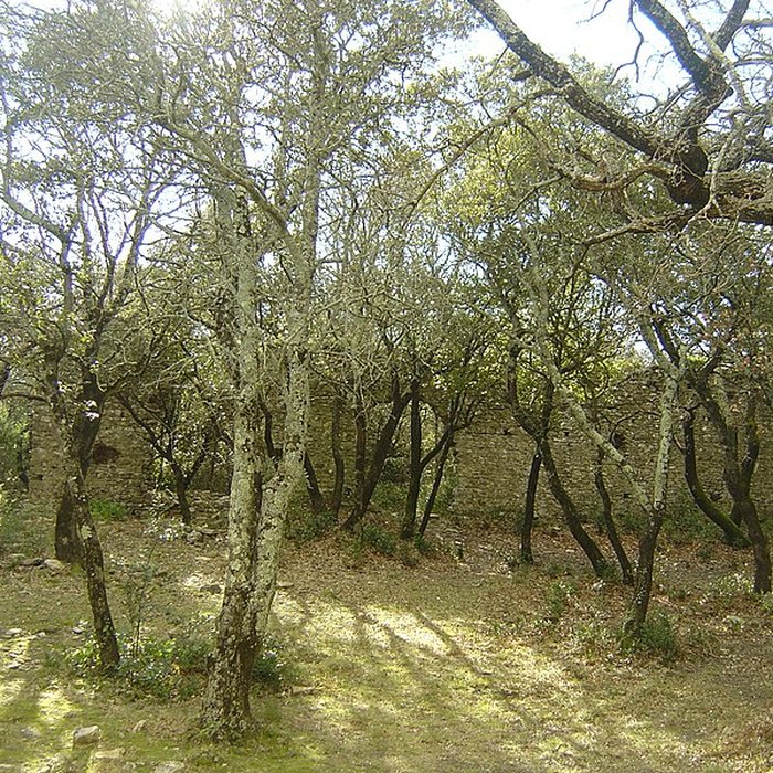 Photo de Ancienne chapelle Saint-Pierre-de-Castres