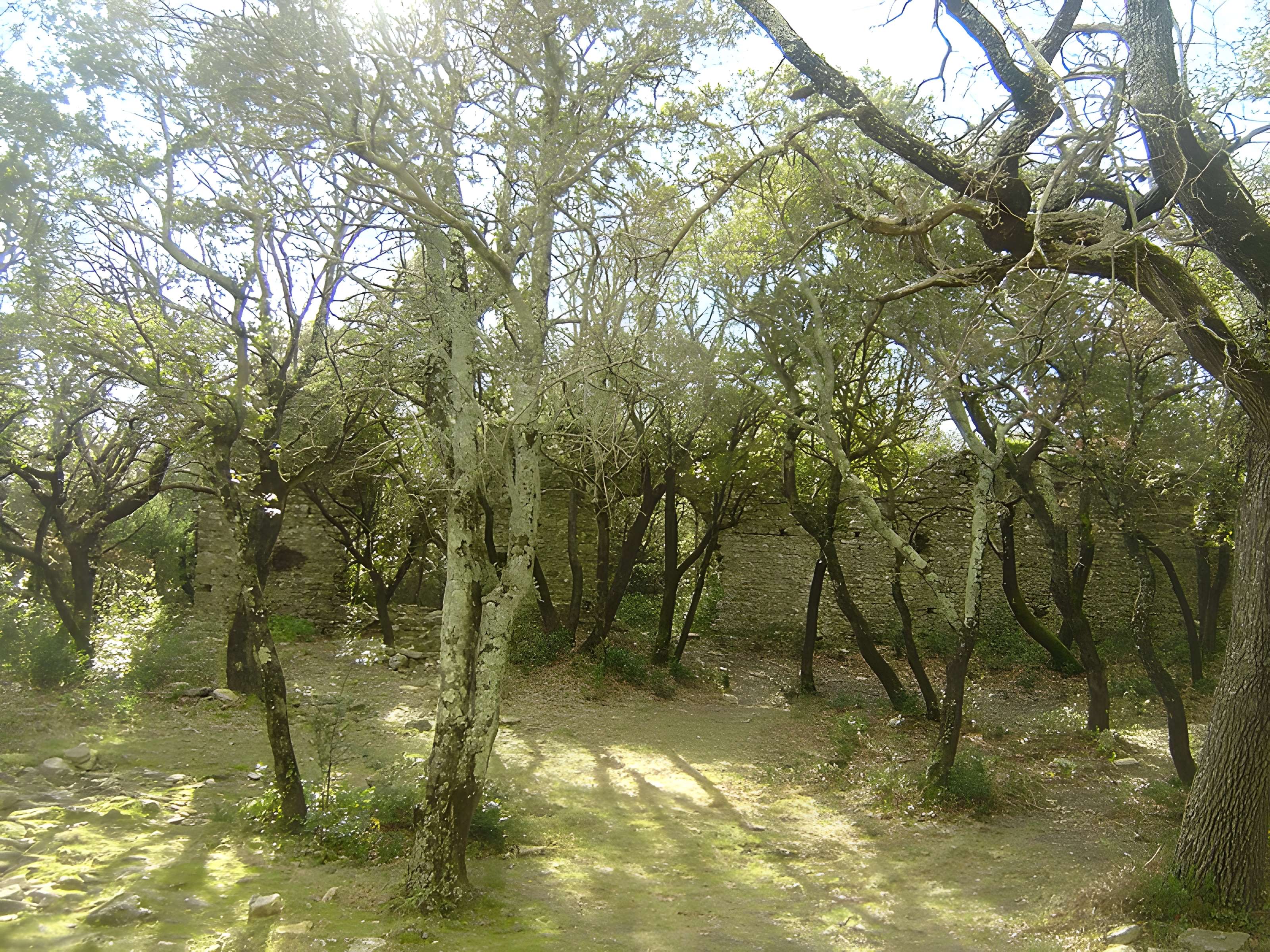 Ancienne chapelle Saint-Pierre-de-Castres