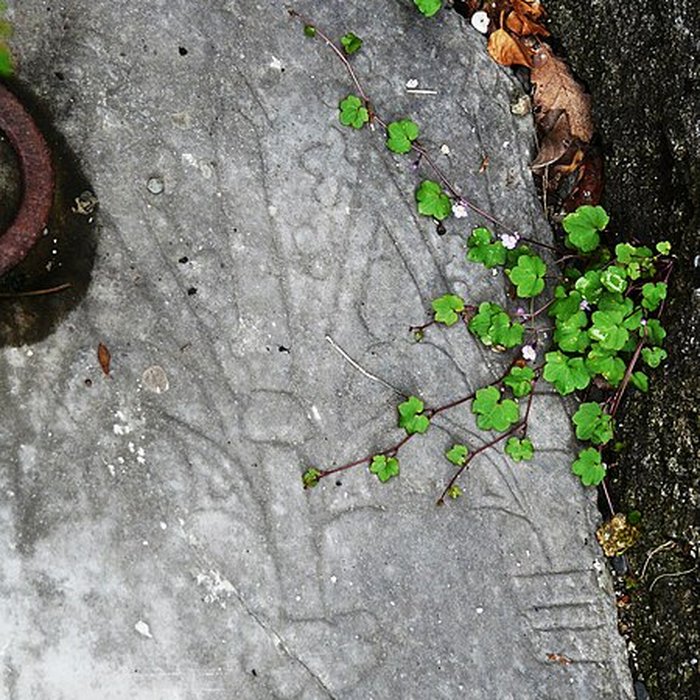 Photo de Église Saint-Barthélémy de Bramevaque